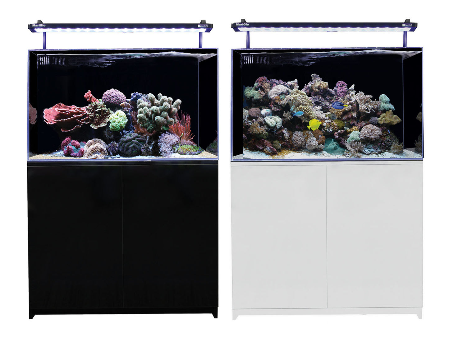 Aqua One MiniReef 160 Marine Set