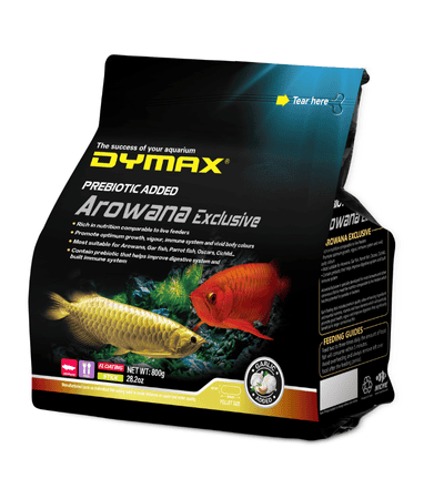 DYMAX Arowana Exclusive Small Floating Stick
