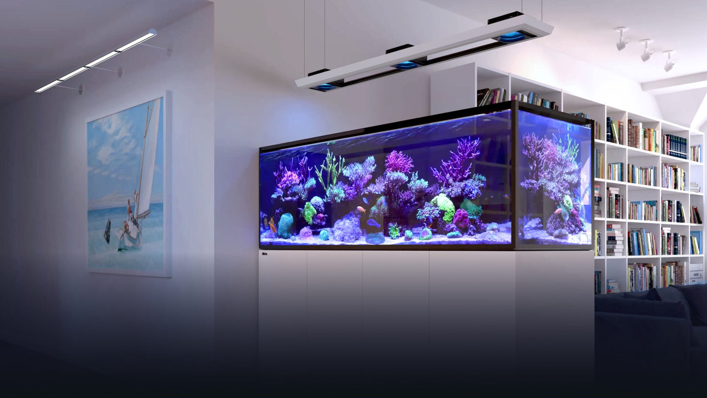 Red Sea REEFER Peninsula G3