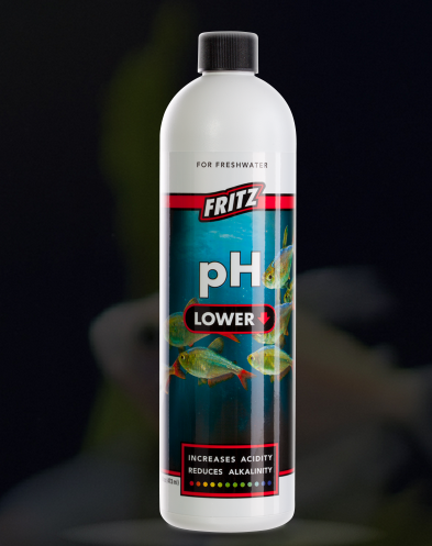 Fritz Ph Lower
