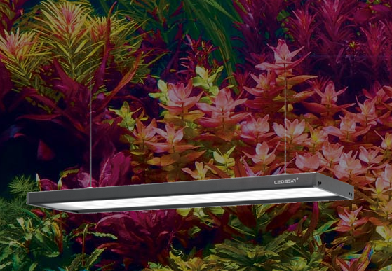 Ledstar AQ-Z WRGB – Benny's Aquarium Ledstar AQ-Z WRGB – Benny's Aquarium