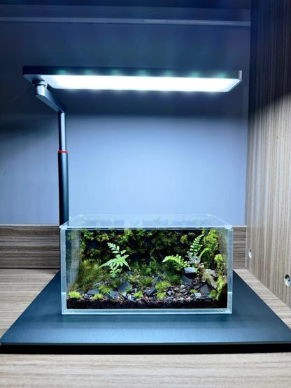 Ledstar AQ-N WRGB