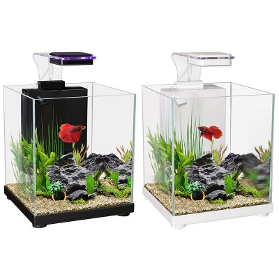 Aqua one Betta Sanctuary Kit