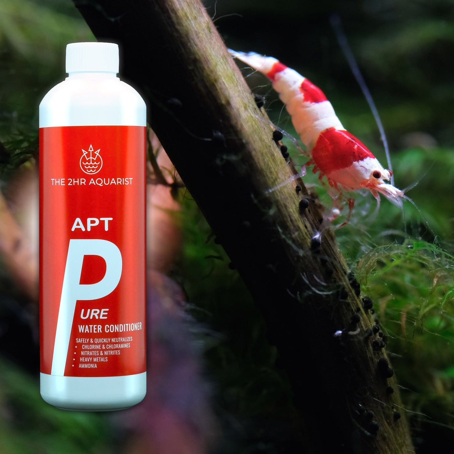 The 2Hr Aquarist APT Pure