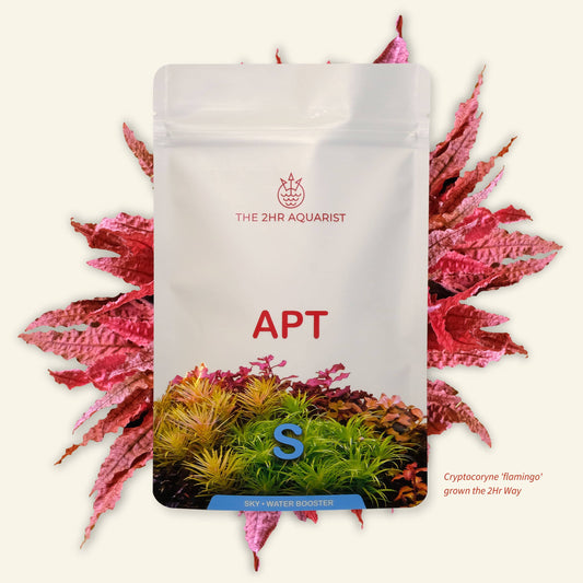 The 2Hr Aquarist APT SKY
