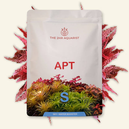 The 2Hr Aquarist APT SKY