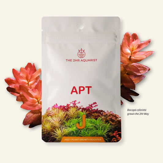 The 2Hr Aquarist APT Jazz