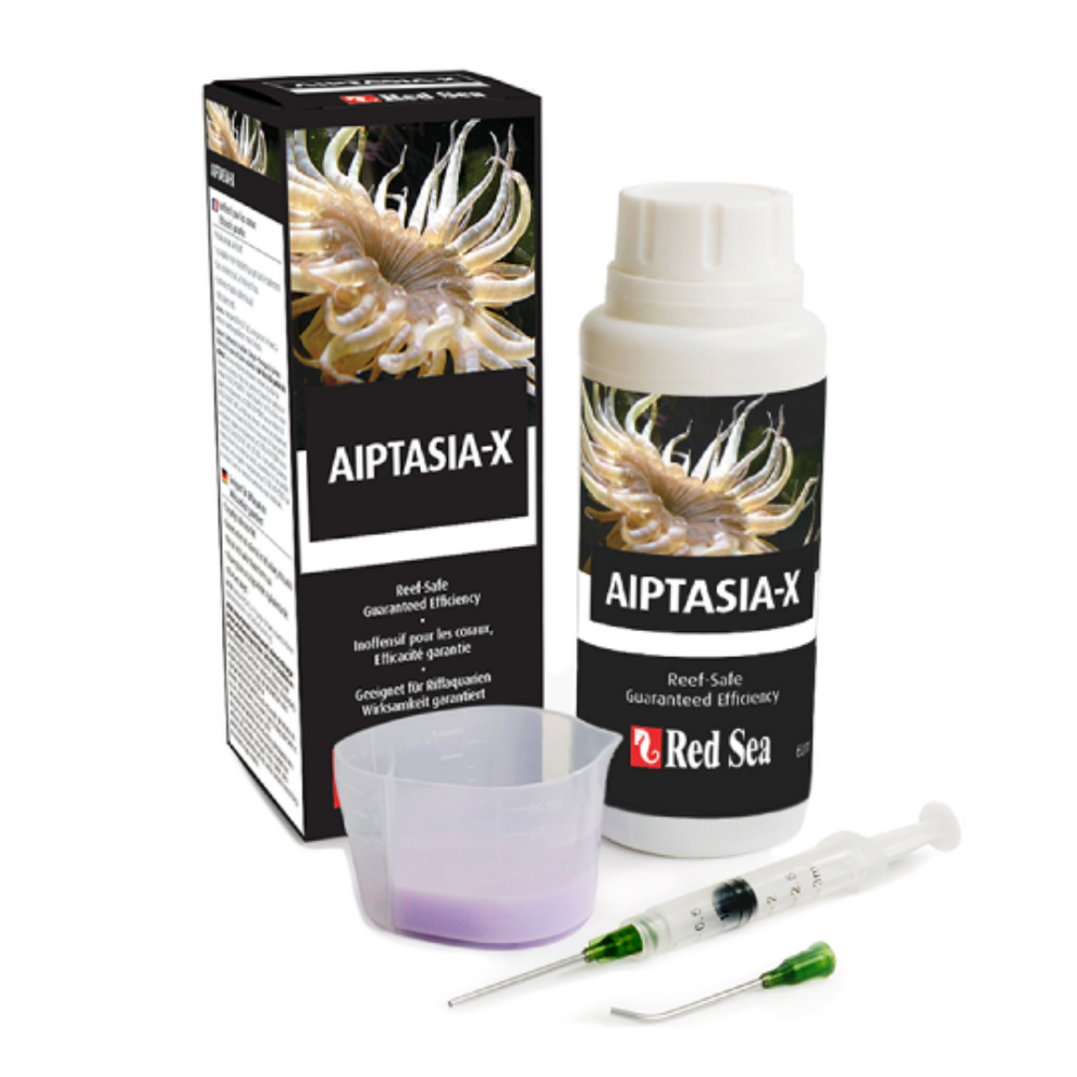 Red Sea Aiptasia-X - 60ml – Benny's Aquarium