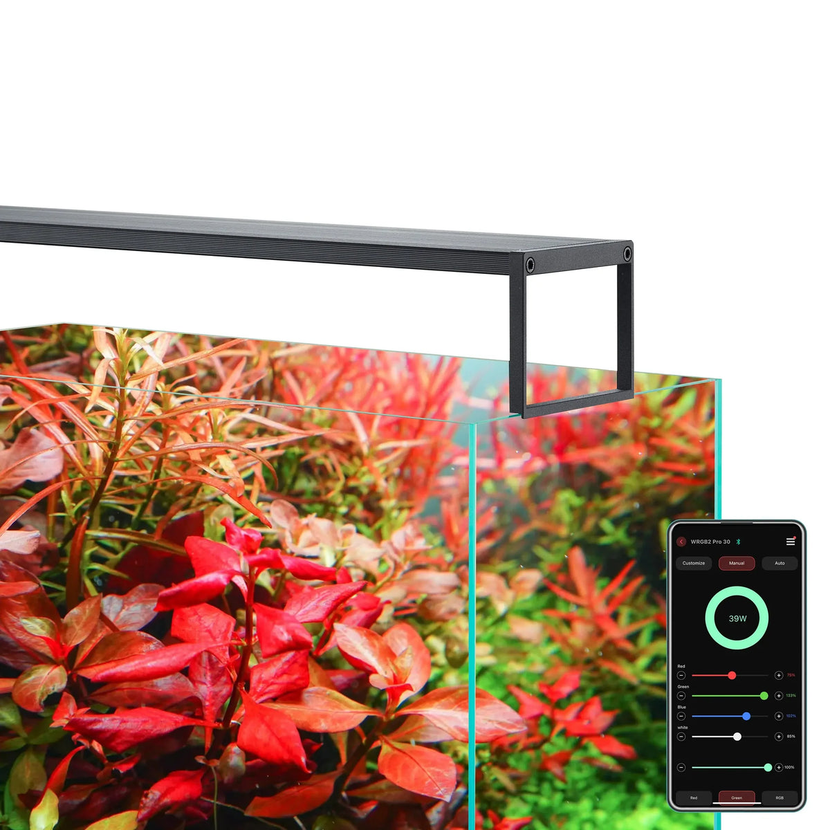 Chihiros-WRGBII-SLIM-EDITION-