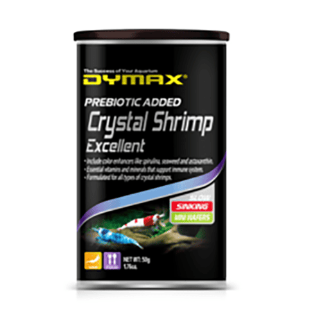DYMAX Crystal Shrimp Slow Sinking Mini Wafer