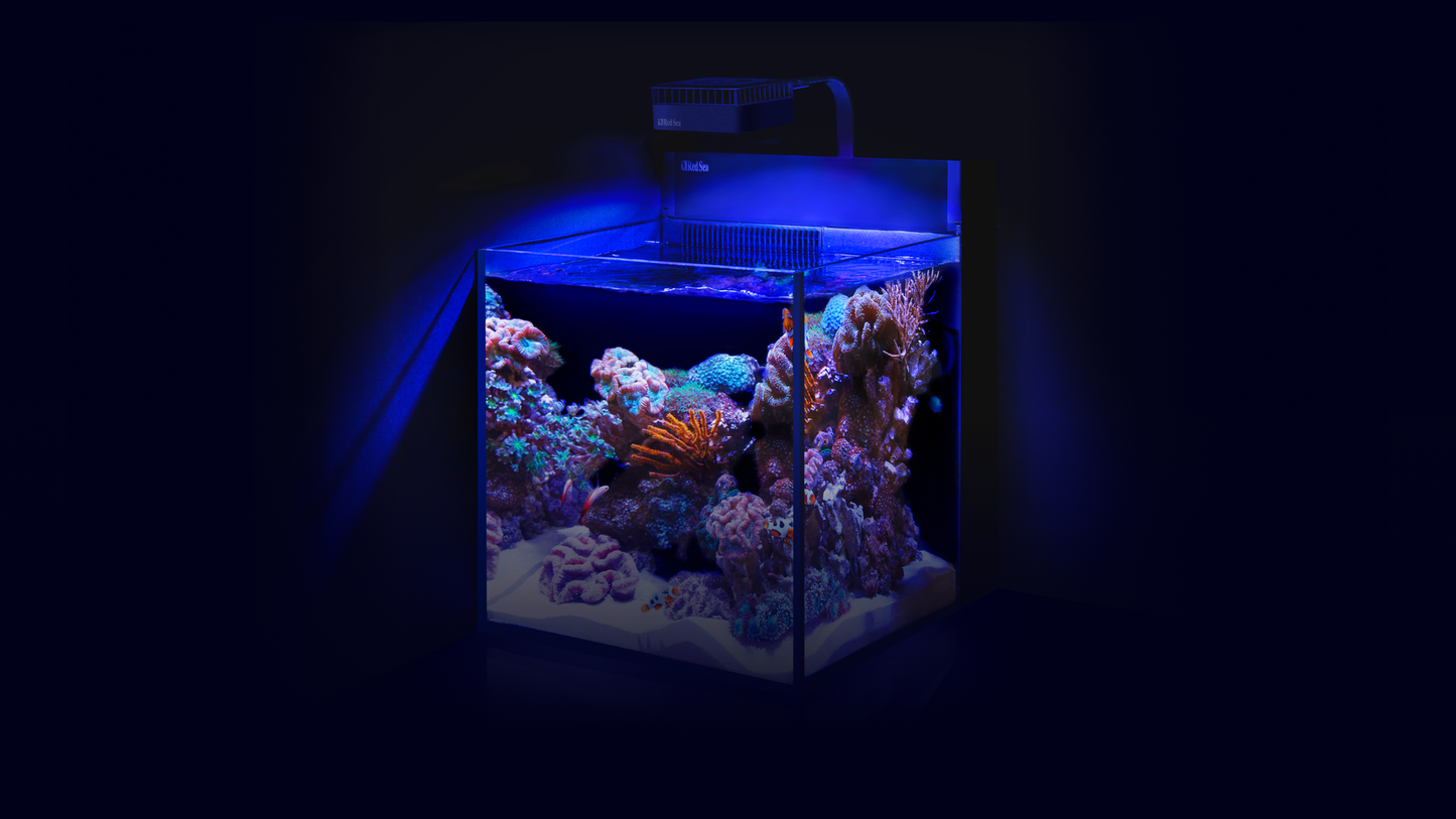 Red Sea MAX NANO G2