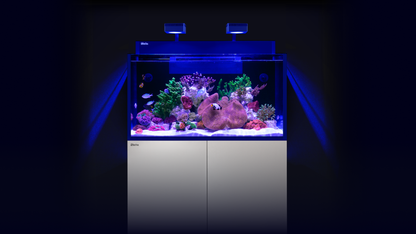 Red Sea MAX NANO G2