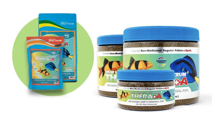 New Life Spectrum THERA+A
