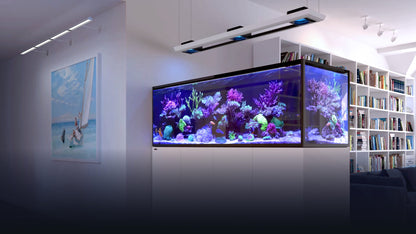 Red Sea REEFER MAX Peninsula G3