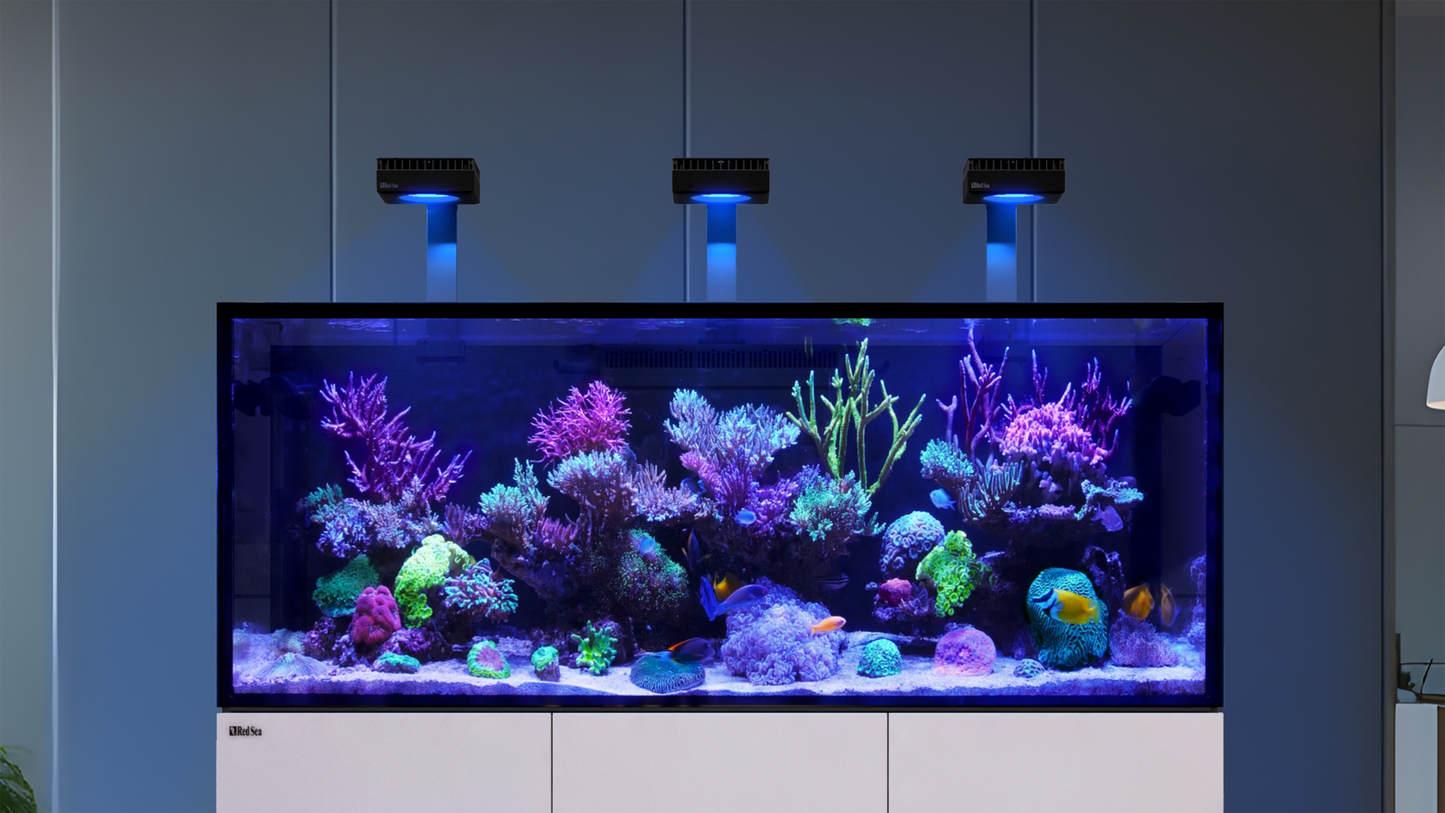 Red Sea REEFER MAX G3