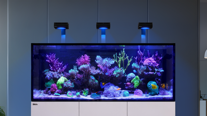 Red Sea REEFER MAX G3