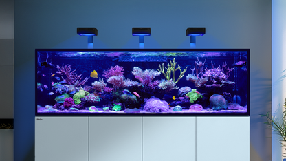 Red Sea REEFER MAX S G3