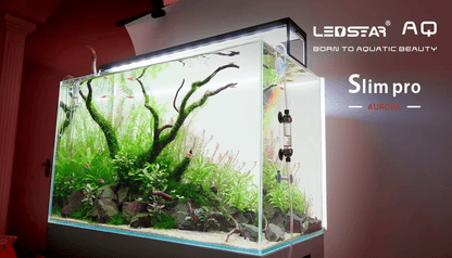 Ledstar AQ-SP Pro WRGB