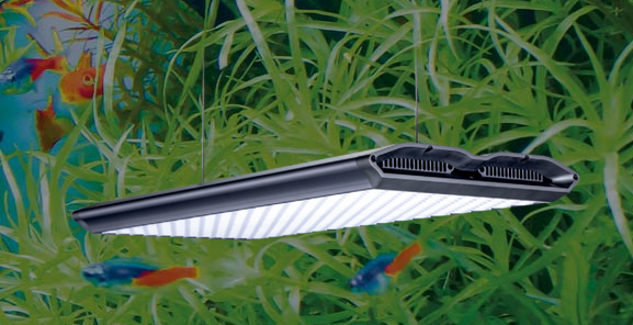 Ledstar AQ-X 60 WRGB – Benny's Aquarium