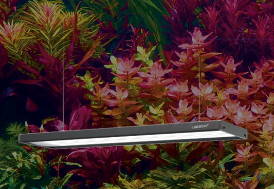 Ledstar AQ-Z60 WRGB