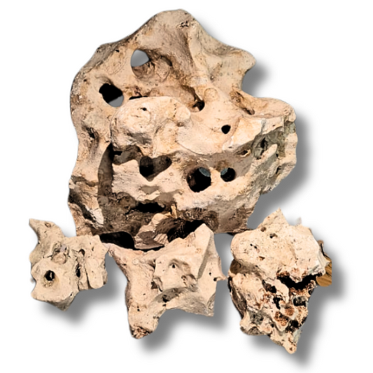 Texas Holy Rock. 1kg