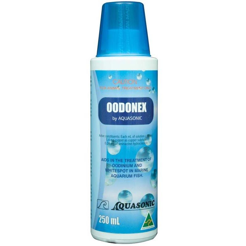 Aquasonic Oodonex
