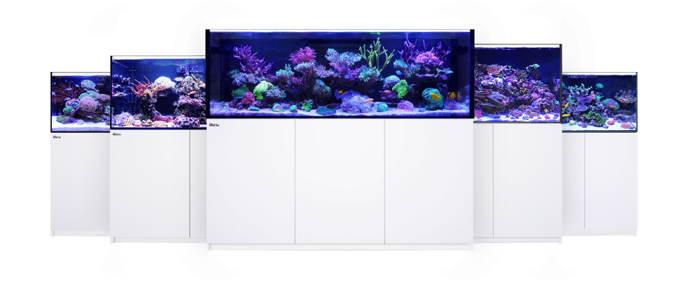 Red Sea Reefer G2+