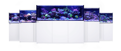 Red Sea Reefer G2+