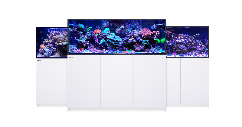 Red Sea REEFER G3