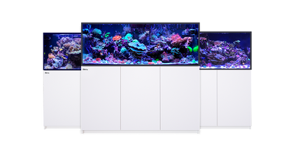 Red Sea REEFER G3