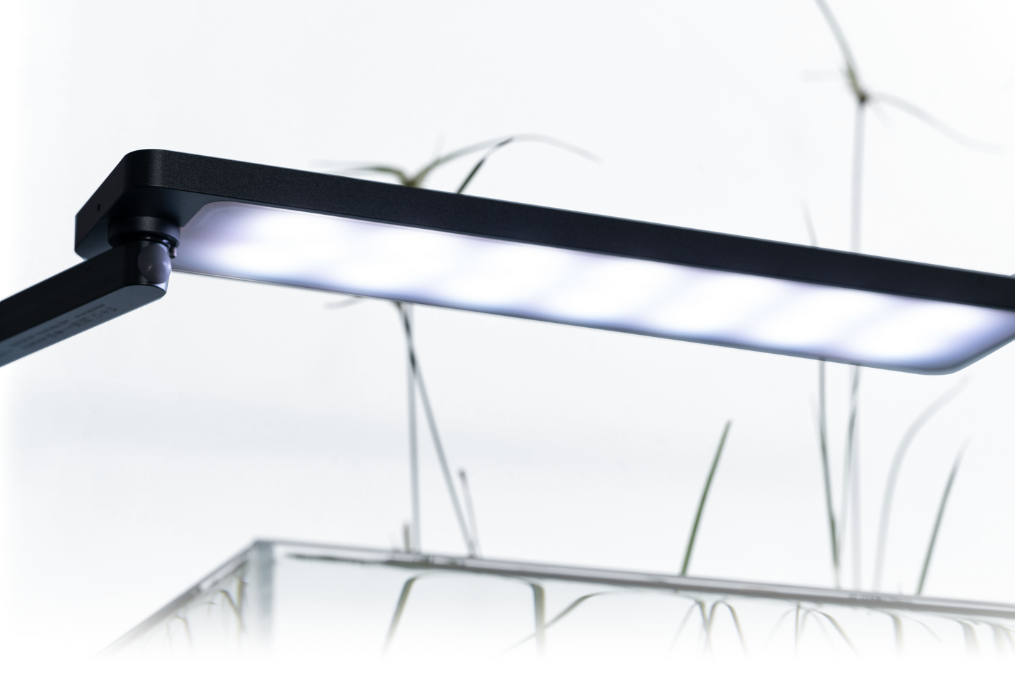 Ledstar AQ-N WRGB
