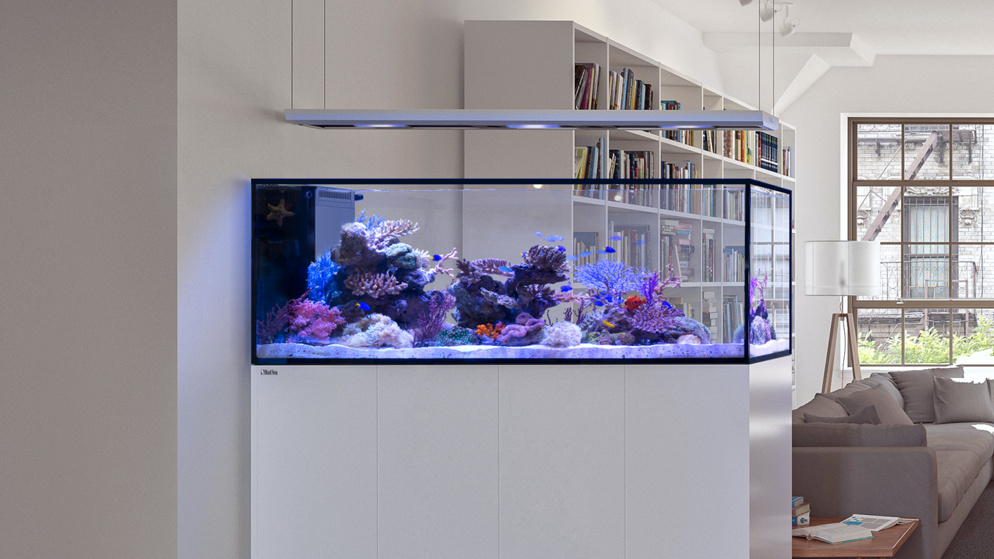Red Sea REEFER Peninsula G3